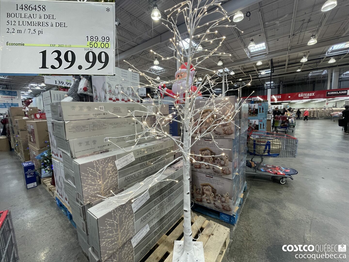 1486458 BOULEAU a DEL 512 LUMI8RES a DEL 2,2 m/7,5 pi 139,99 (EXPIRES ON 2022-11-13) $50.00