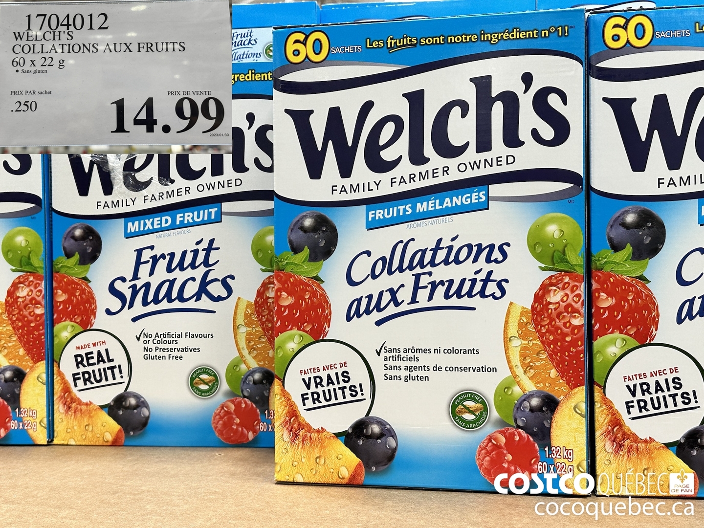 1704012 WELCH'S COLLATIONS AUX FRUITS 60 x 27.9 $14.99