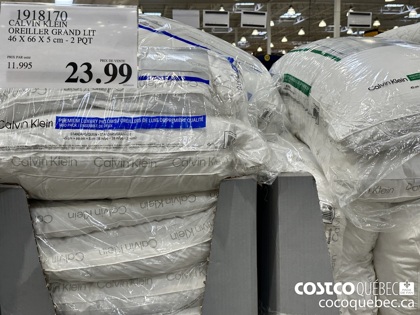 1918170 CALVIN KLEIN OREILLER GRAND LIT 46 X 66 X 5 cm - 2 POT $23.99