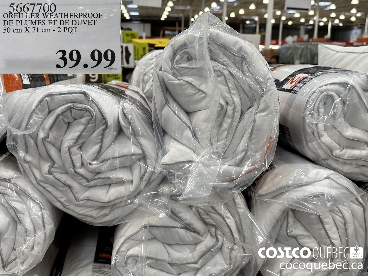 5667700 OREILLER WEATHERPROOF DE PLUMES ET DE DUVET 50 cm X 71 cm - 2 POT  $39.99