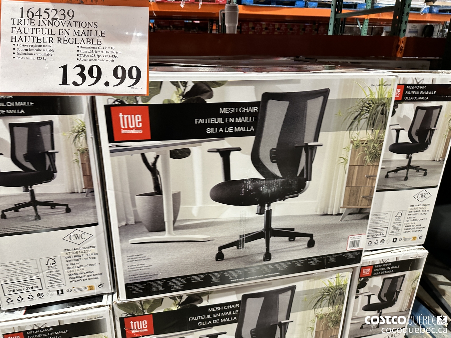 1645239 TRUE INNOVATIONS FAUTEUIL EN MAILLE HAUTEUR REGLABLE  $139.99