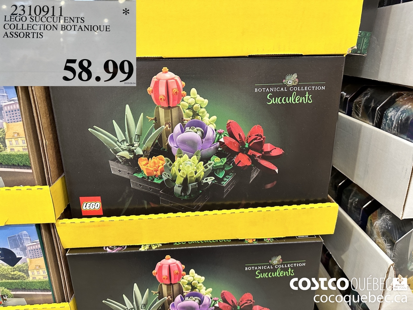 2310911 LEGO SUGCUI ENTS COLLECTION BOTANIOUE ASSORTIS $58.99