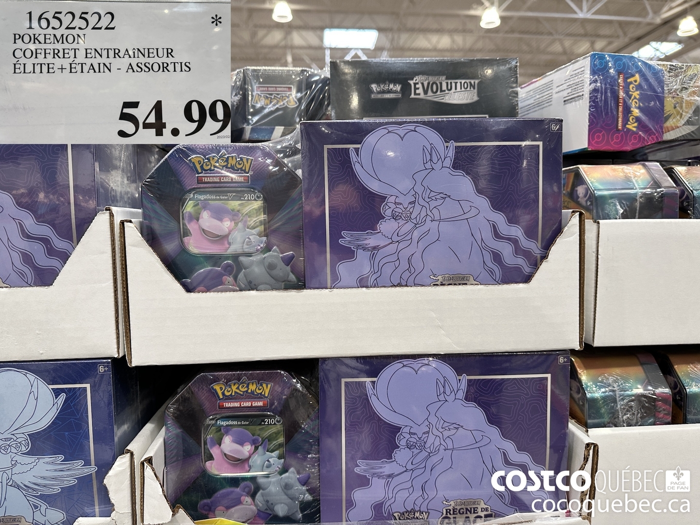 1652522 POKEMON COFFRET ENTRAiNEUR ELITE+ETAIN - ASSORTIS $54.99