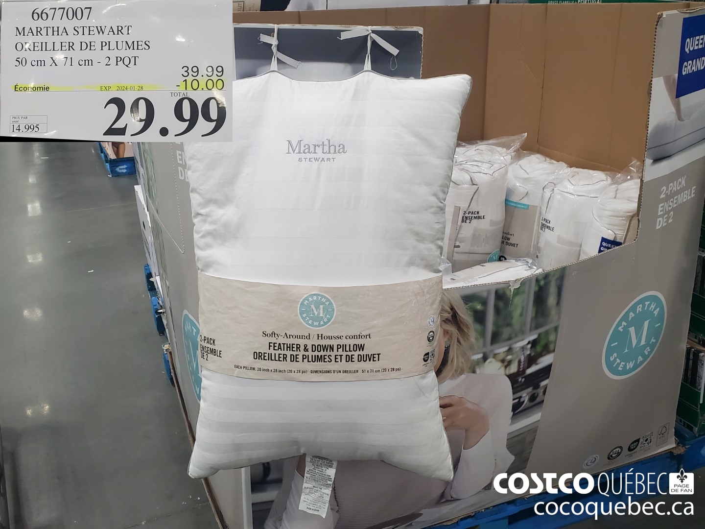 6677007 MARTHA STEWART OREILLER DE PLUMES 50 cm X 71 cm - 2 PQT ($10.00 INSTANT SAVINGS EXPIRES ON 2024-01-28) $29.99