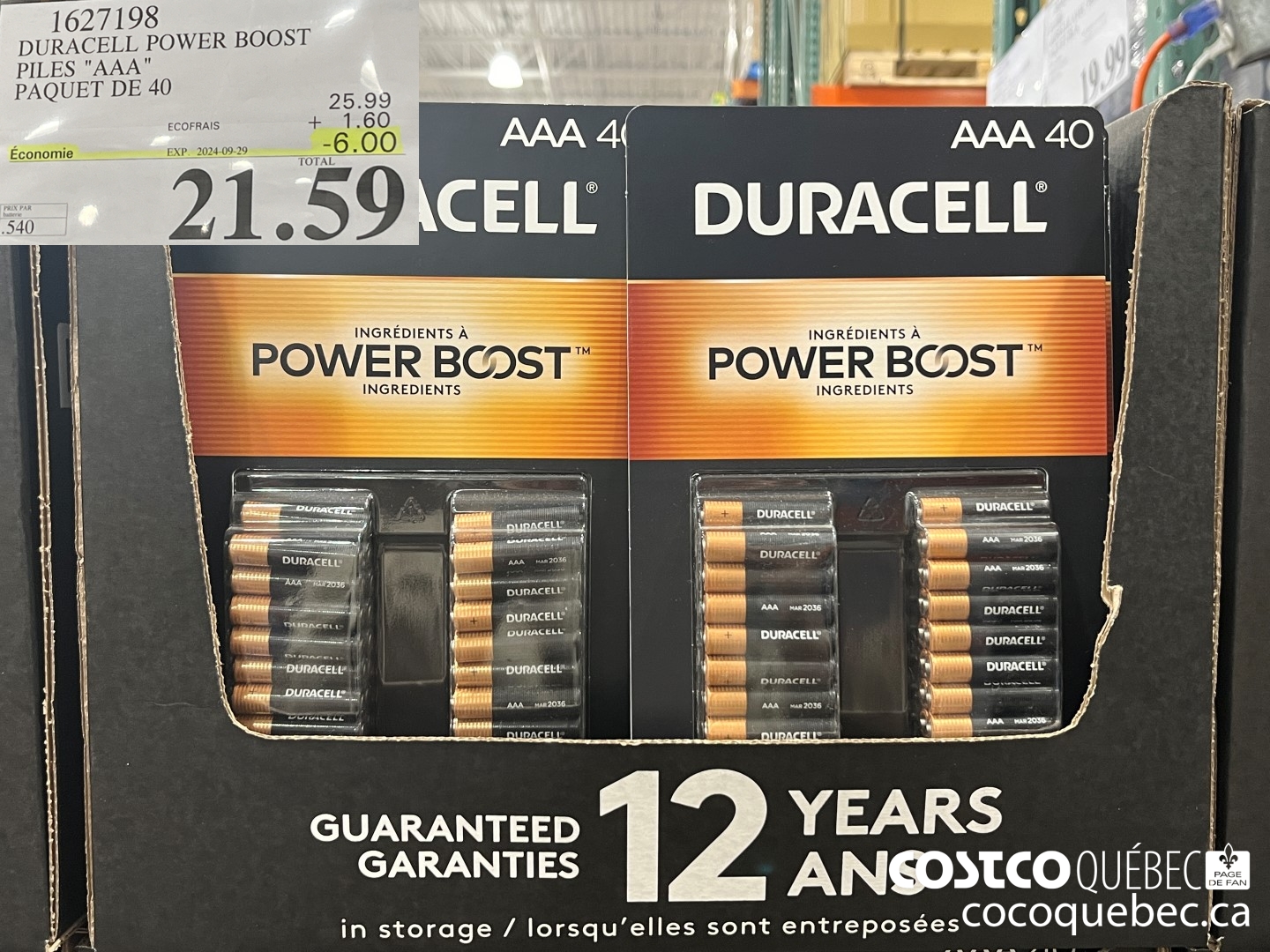 1627198 DURACELL POWER BOOST PILES 