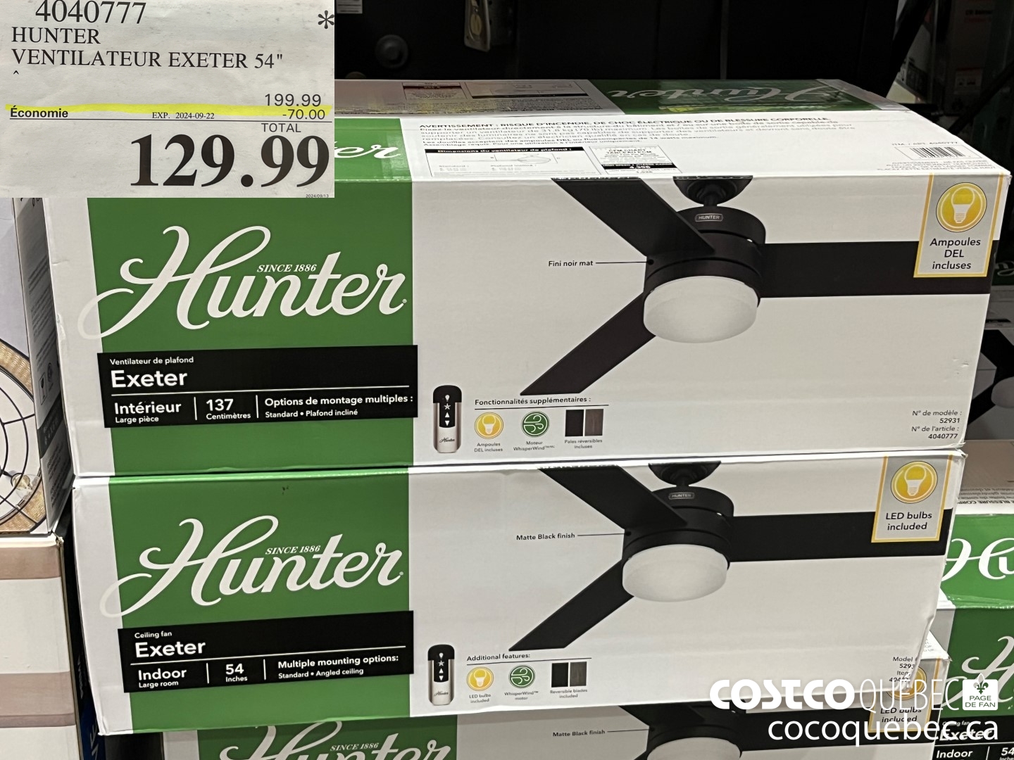 4040777 HUNTER VENTILATEUR EXETER 54
