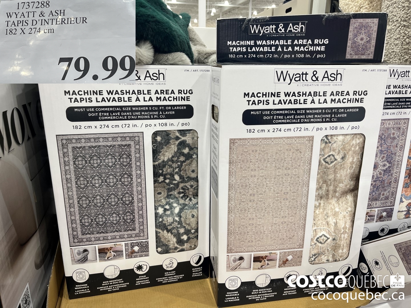 1737288 WYATT & ASH TAPIS D'INTERIEUR 182 X 274 cm  $79.99