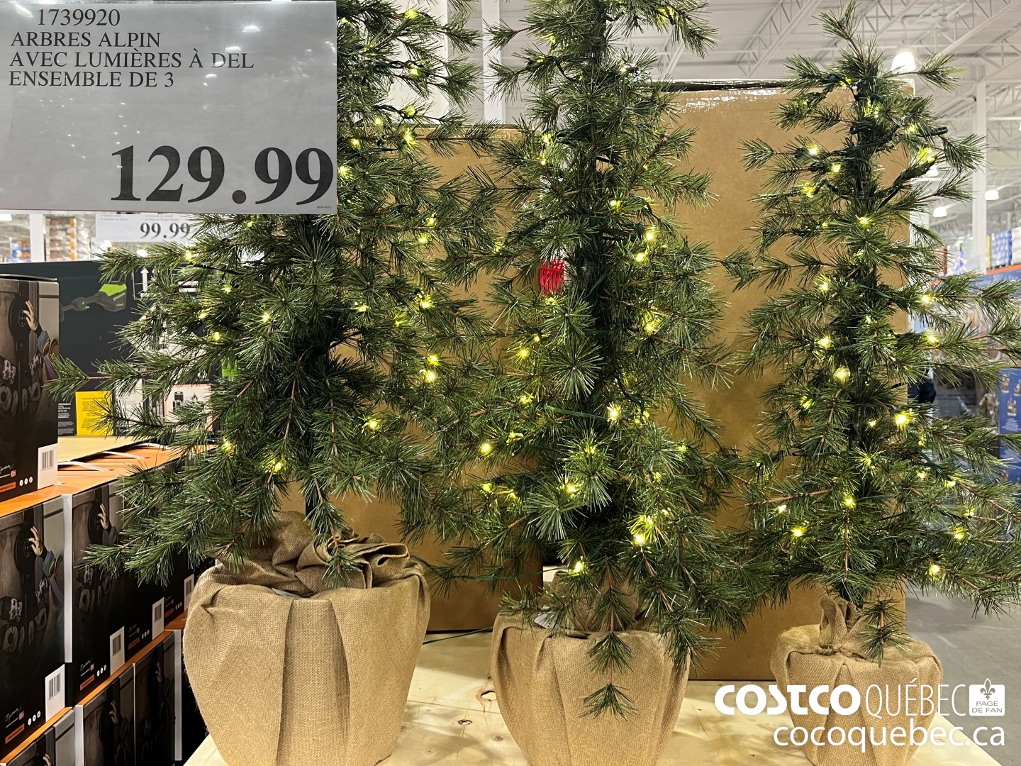 1739920 ARBRES ALPIN. AVEC LUMIERES A DEL ENSEMBLE DE 3  $129.99