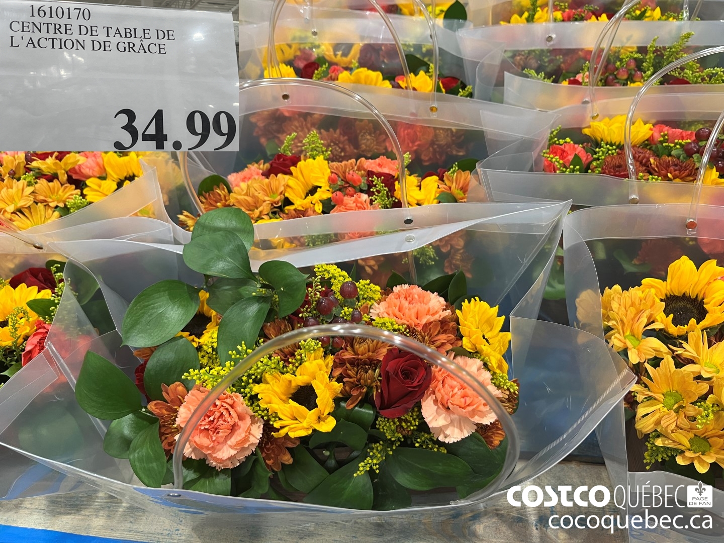 1610170 CENTRE DE TABLE DE L'ACTION DE GRACE  $34.99