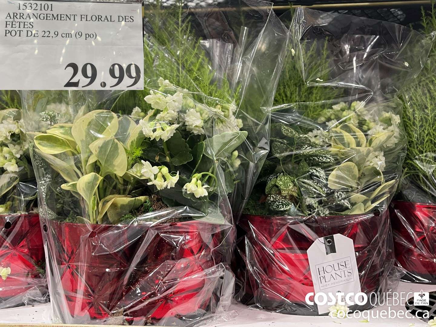 1532101 ARRANGEMENT FLORAL DES FETES  $29.99