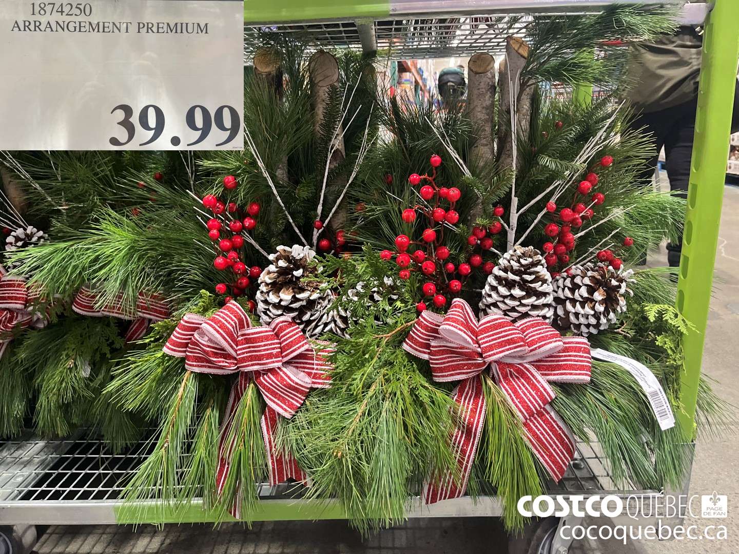 1874250 ARRANGEMENT PREMIUM  $39.99
