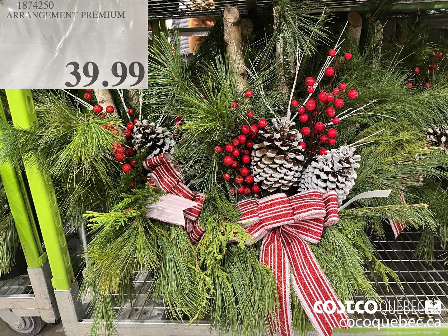 1874250 ARRANGEMENT PREMIUM  $39.99