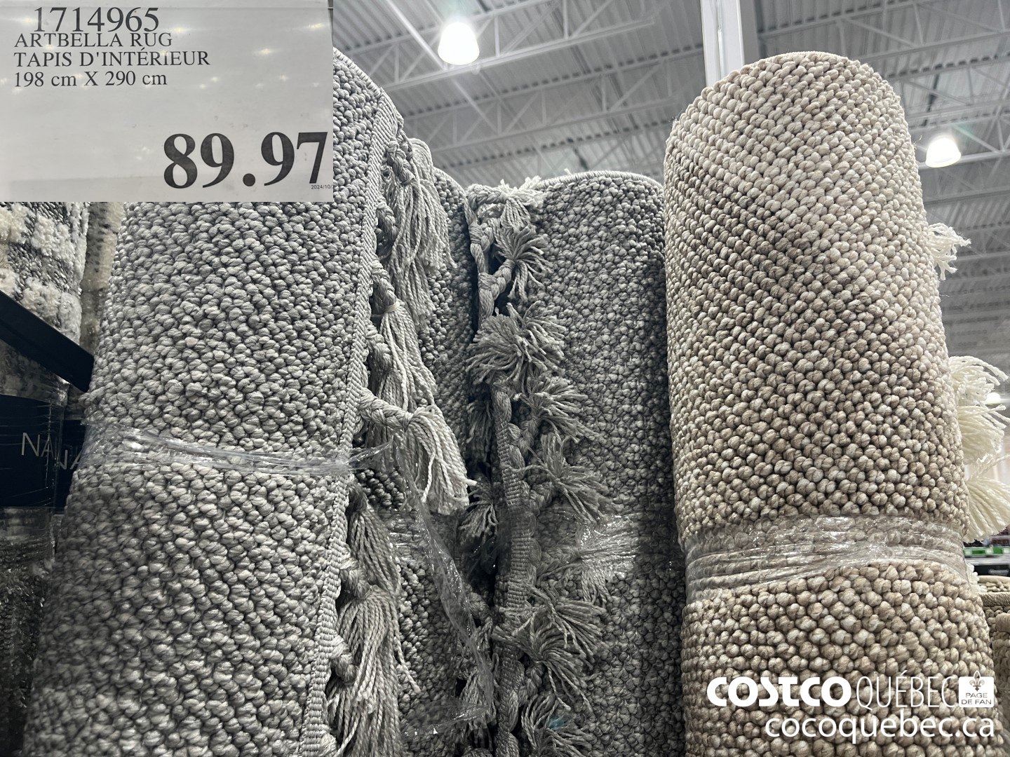 1714965 ARTBELLA RUG | TAPIS D'INTERIEUR 198 cm X 290 cm  $89.97