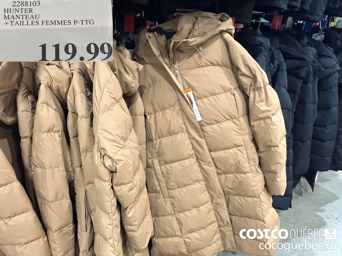 2288103 HUNTER MANTEAU +TAILLES FEMMES P-TTG  $119.99