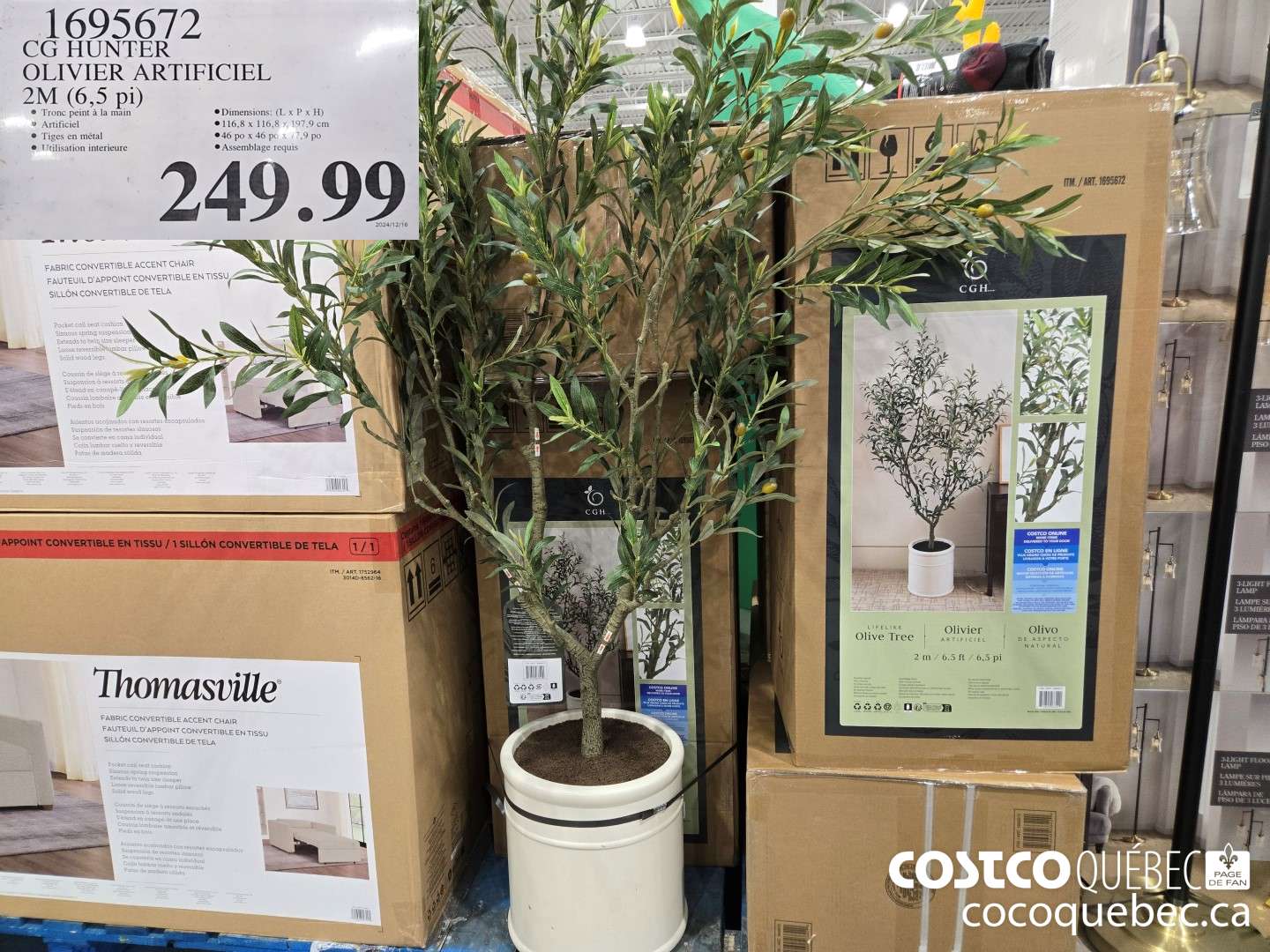 1695672 CG HUNTER OLIVIER ARTIFICIEL  $249.99