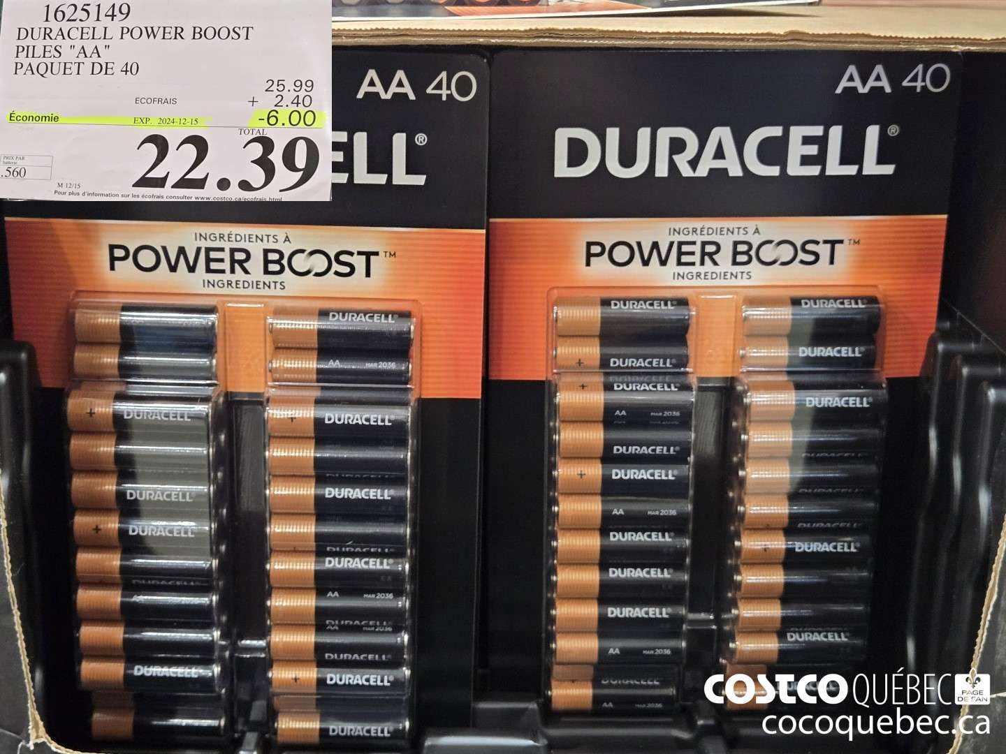 1625149 DURACELL POWER BOOST PILES 