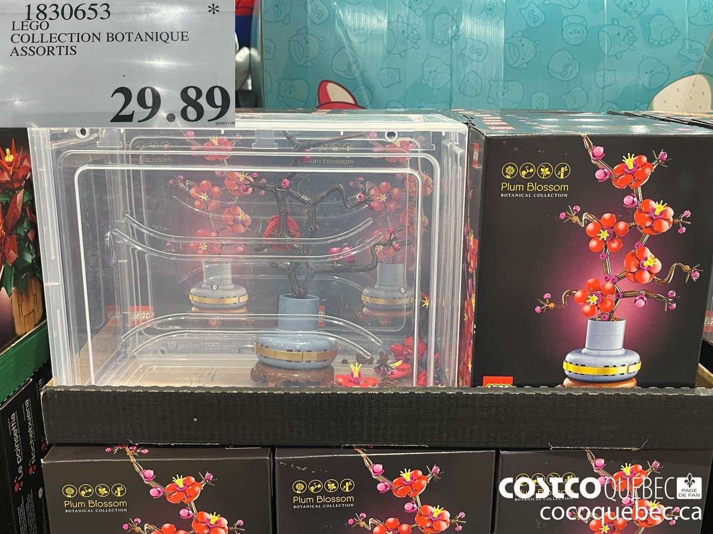 1830653 LEGO COLLECTION BOTANIQUE ASSORTIS  $29.89