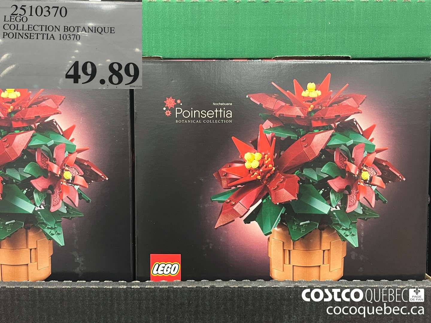 2510370 LEGO COLLECTION BOTANIQUE POINSETTIA 10370  $49.89
