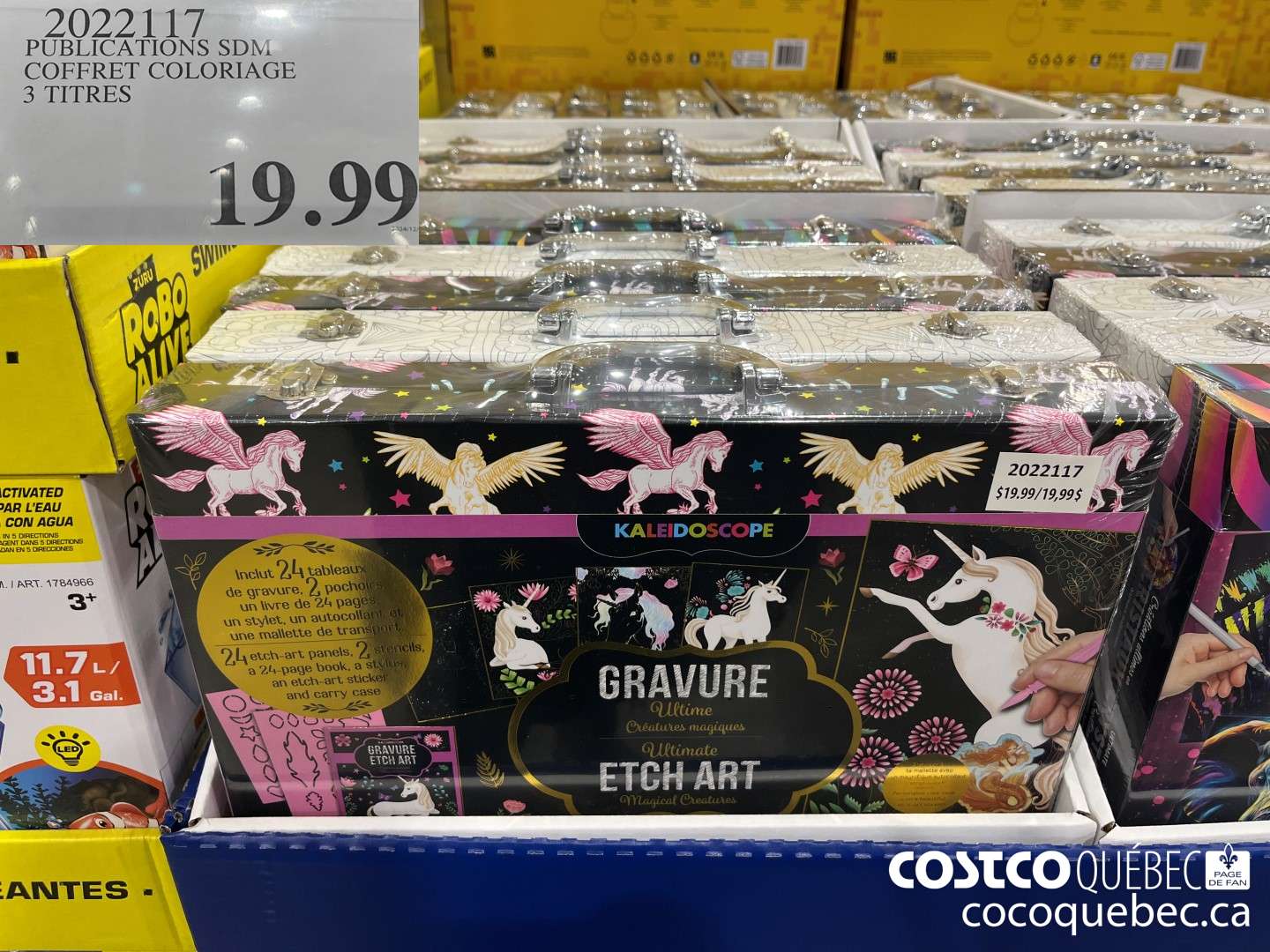 2022117 PUBLICATIONS SDM COFFRET COLORIAGE 3 TITRES  $19.99