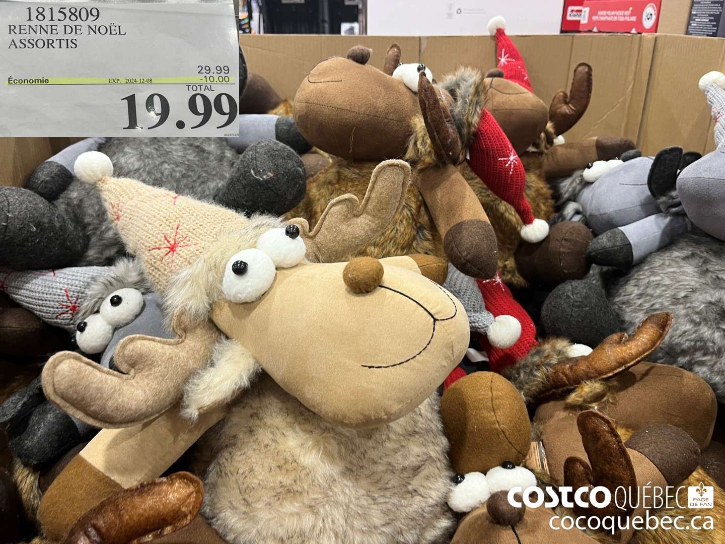 1815809 RENNE DE NOEL  ($10.00 INSTANT SAVINGS EXPIRES ON 2024-12-08) $19.99