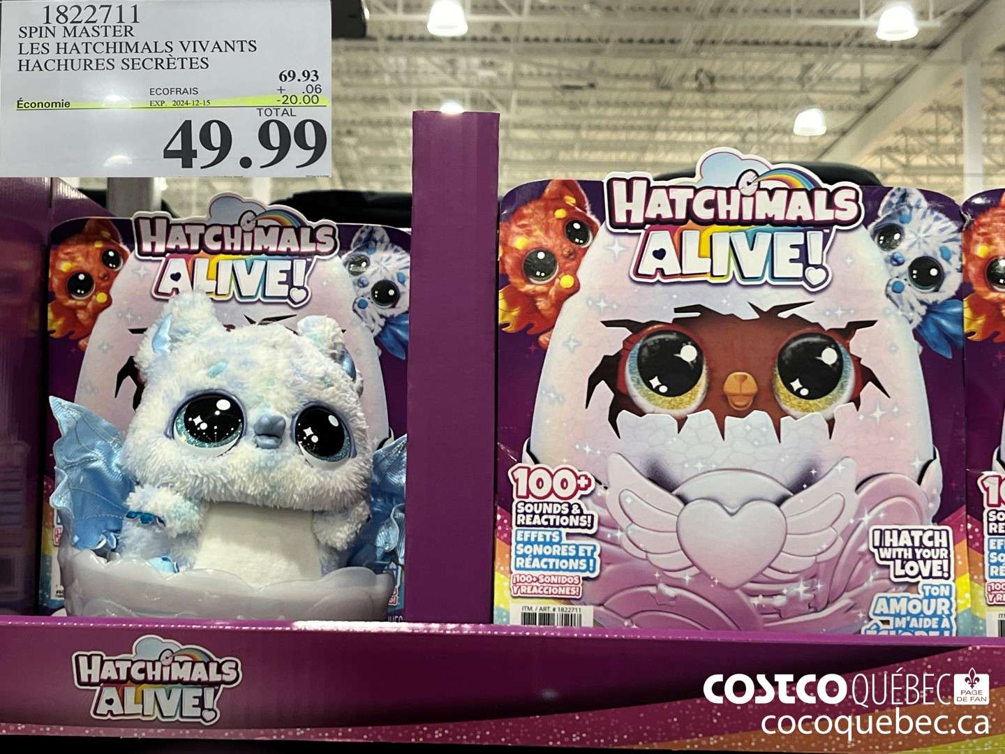 1822711 SPIN MASTER LES HATCHIMALS VIVANTS HACHURES SECRETES  ($20.00 INSTANT SAVINGS EXPIRES ON 2024-12-15) $49.99