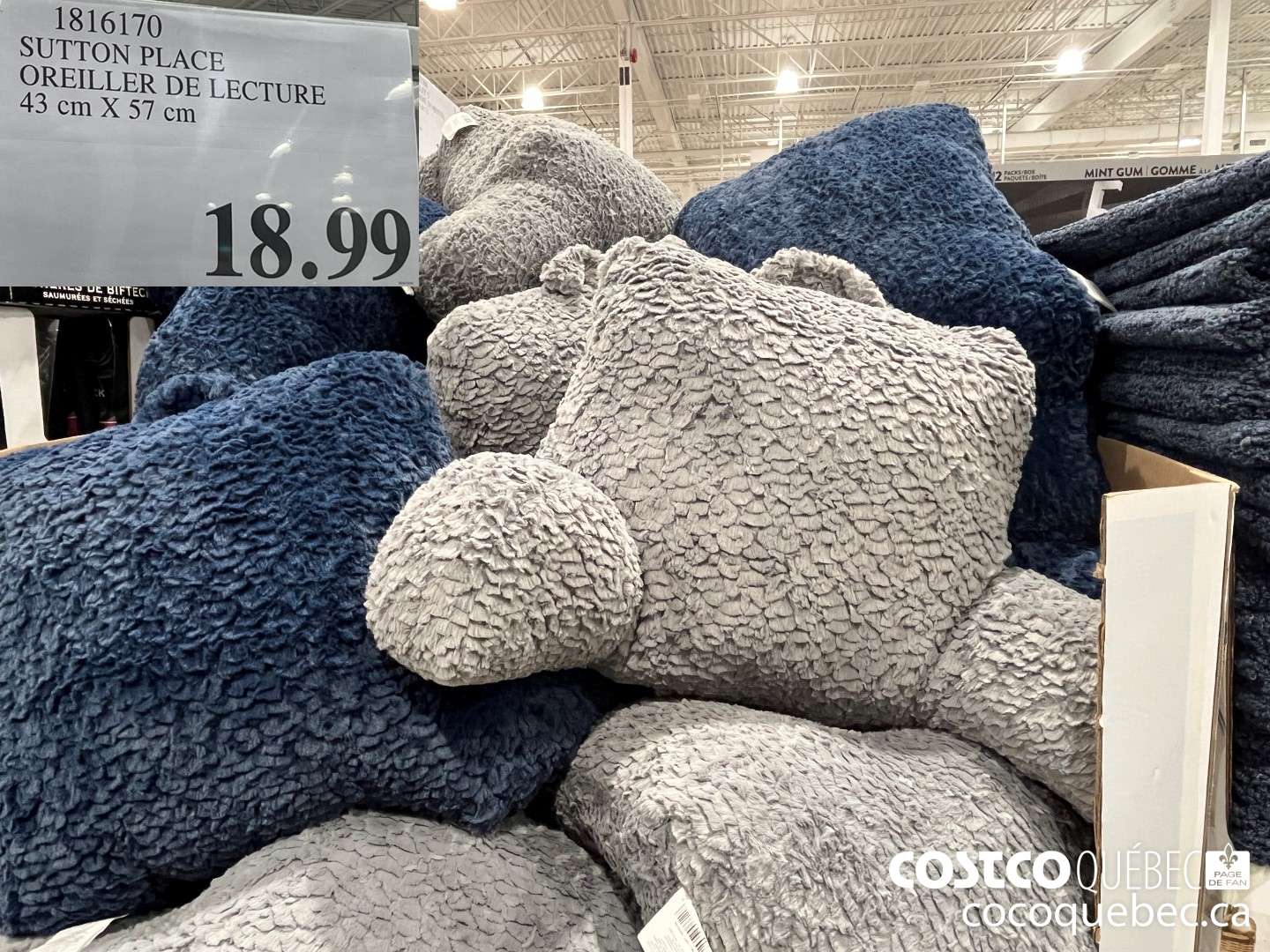 1816170 SUTTON PLACE OREILLER DE LECTURE 43 cm X 57 cm  $18.99
