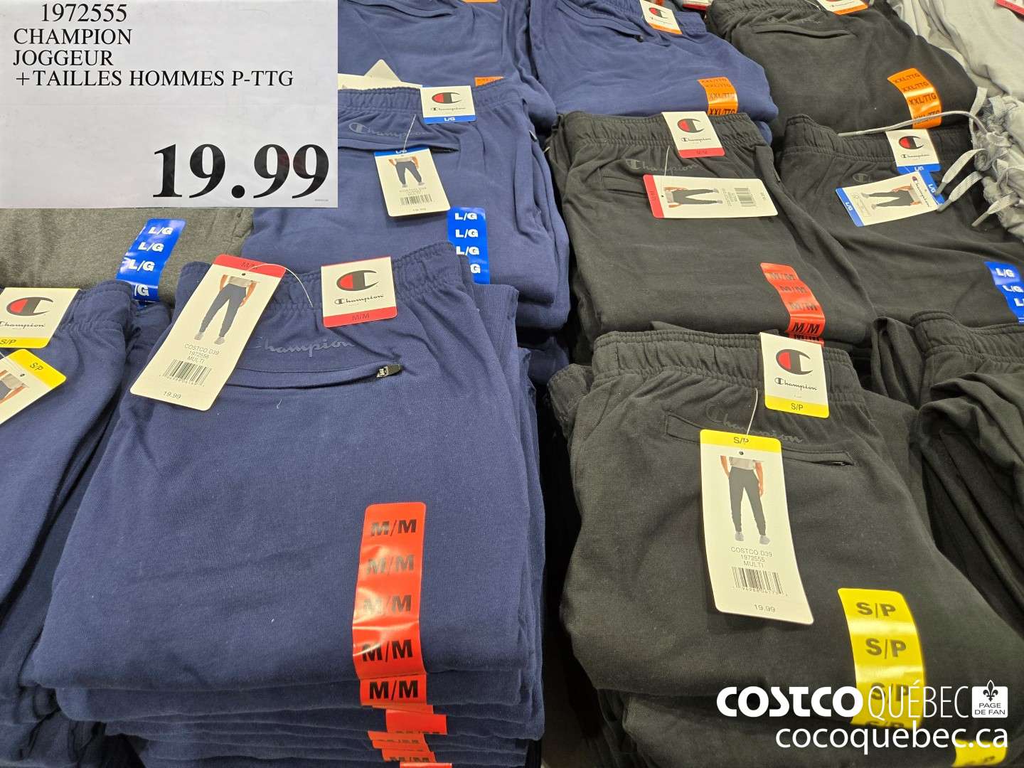 1972555 CHAMPION JOGGEUR +TAILLES HOMMES P-TTG  $19.99