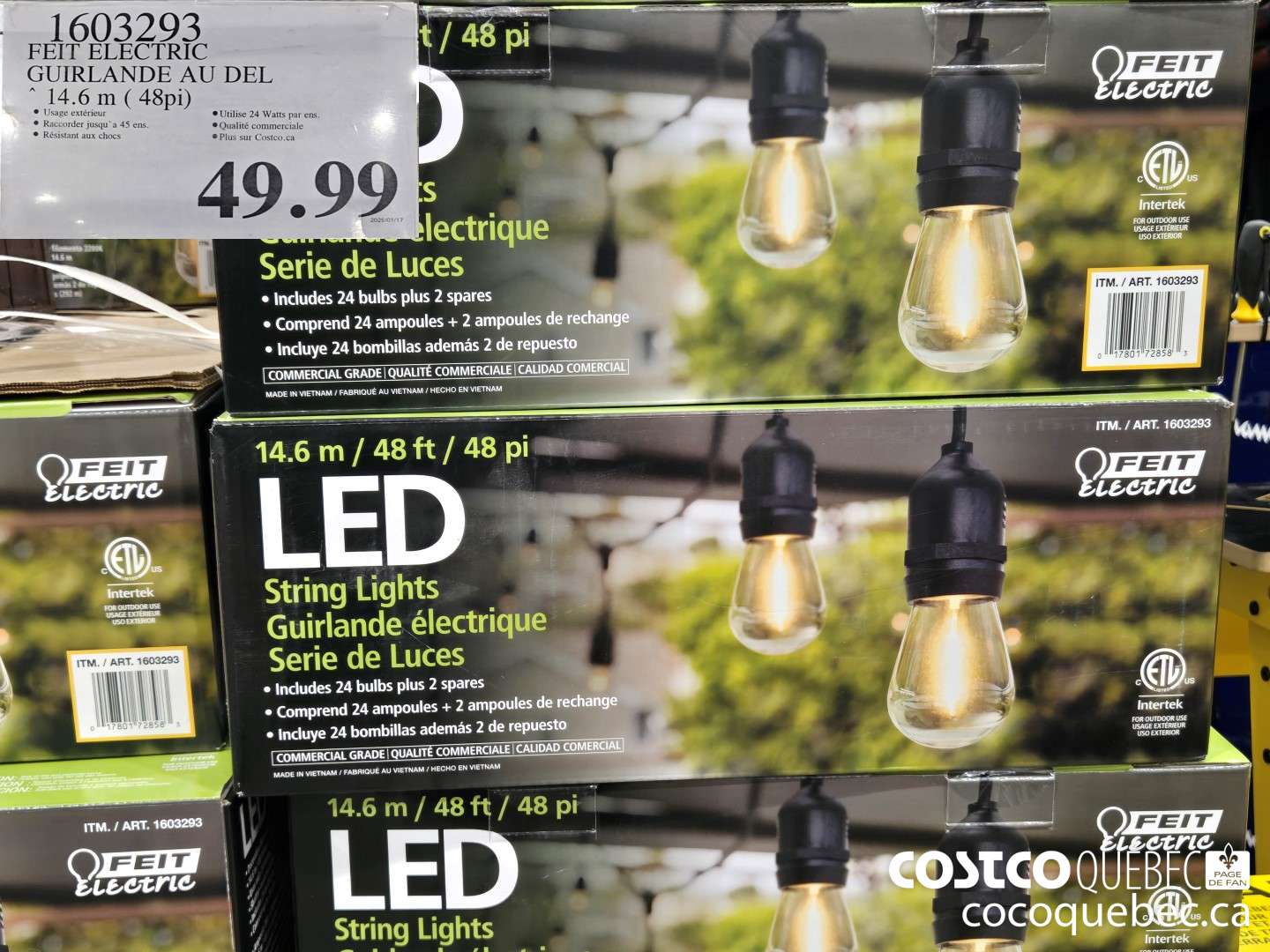1603293 FEIT ELECTRIC GUIRLANDE AU DEL ~ 14.6 m ( 48pi)  $49.99