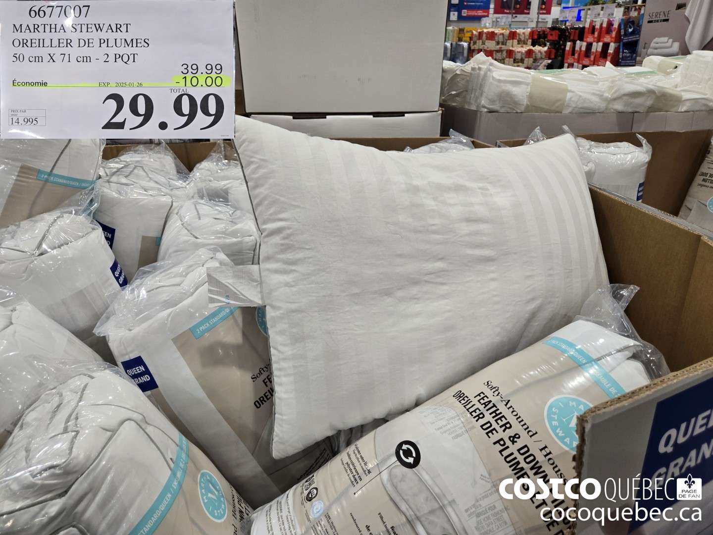 6677007 MARTHA STEWART OREILLER DE PLUMES 2 PQT  ($10.00 INSTANT SAVINGS EXPIRES ON 2025-01-26) $29.99