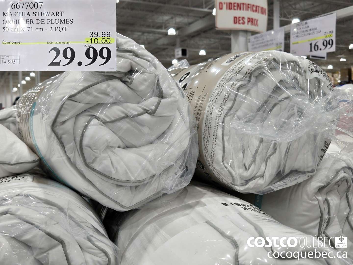 6677007 MARTHA STEWART OREILLER DE PLUMES 2 PQT  ($10.00 INSTANT SAVINGS EXPIRES ON 2025-01-26) $29.99