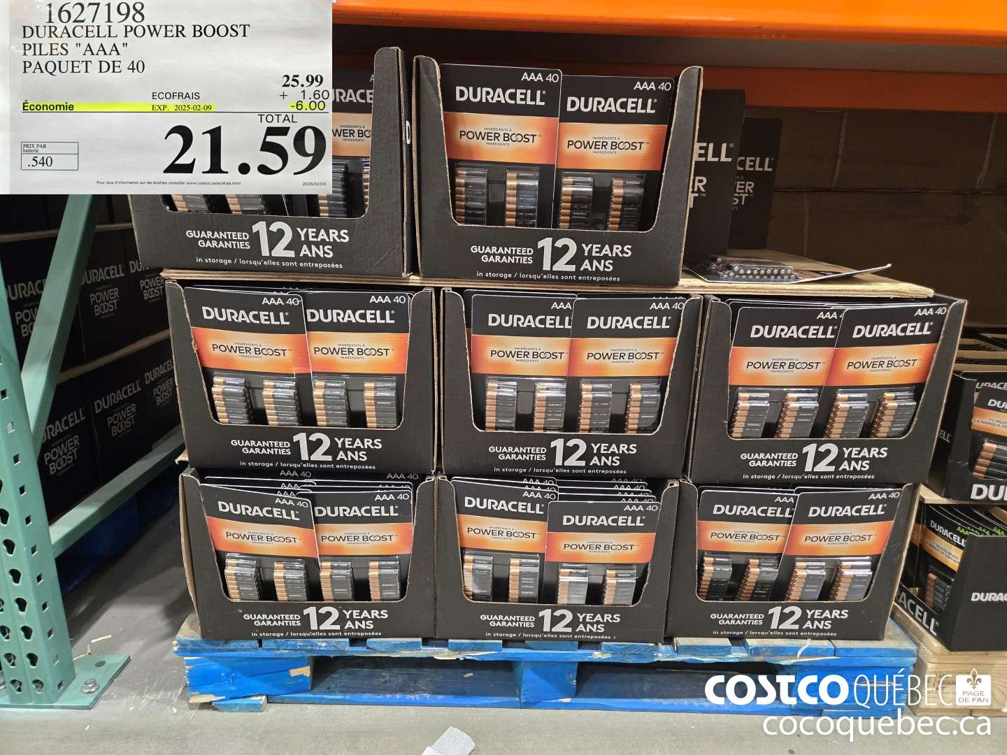 1627198 DURACELL POWER BOOST PILES 