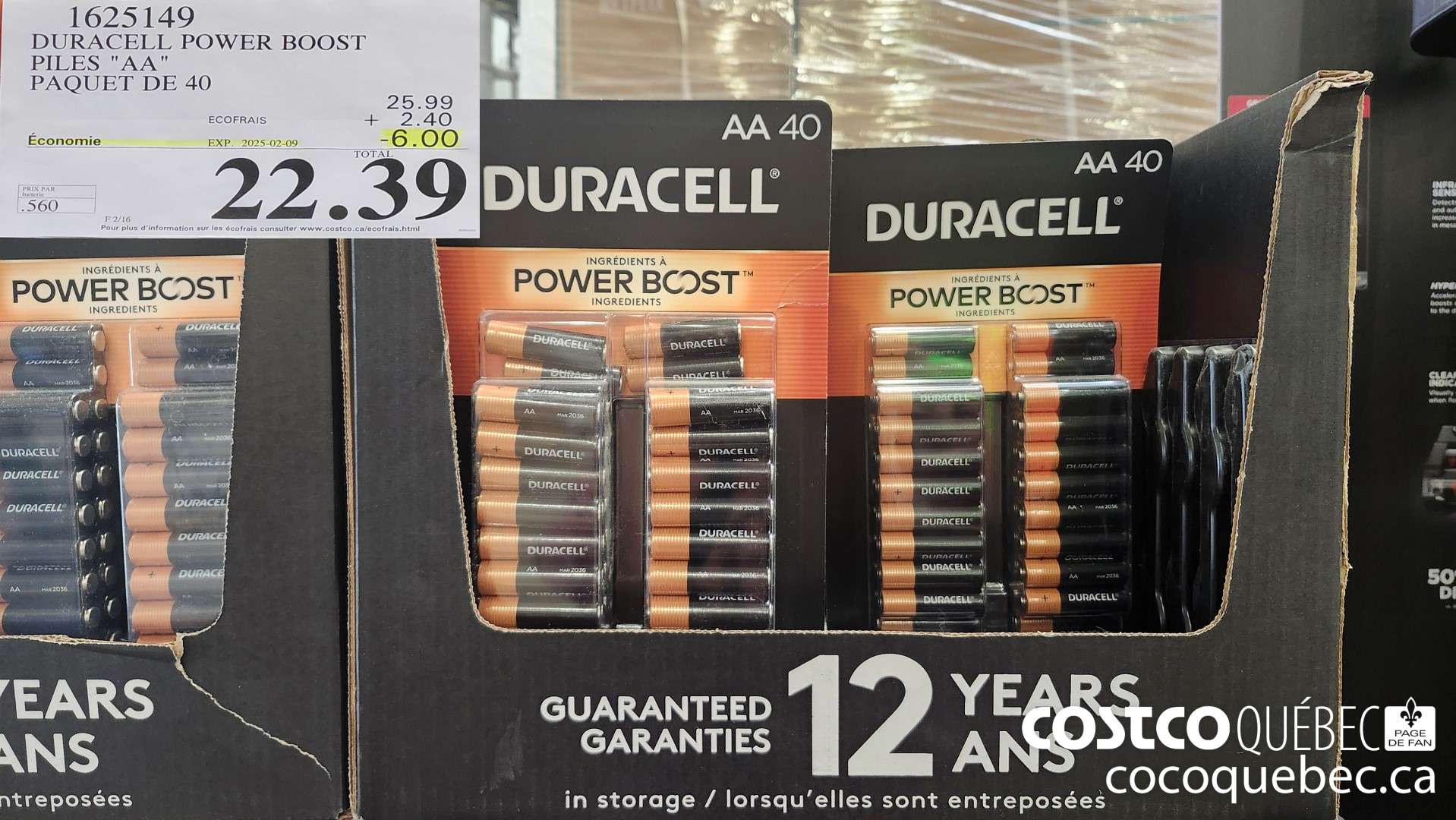 1625149 DURACELL POWER BOOST PILES 