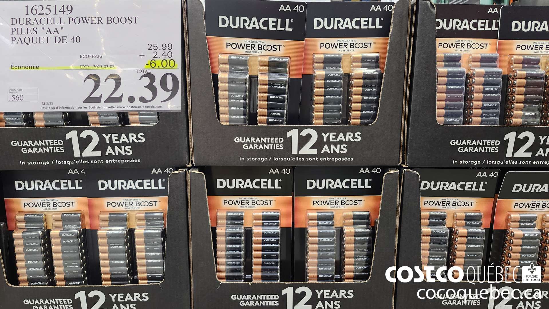 1625149 DURACELL POWER BOOST PILES 