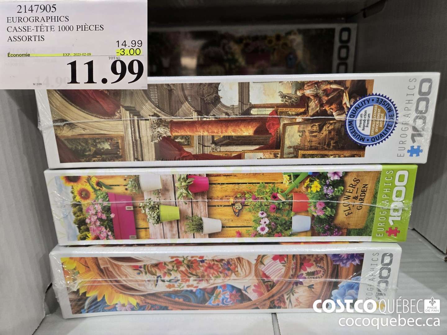 2147905 EUROGRAPHICS CASSE TETE 1000 PIECES ASSORTIS  $11.99