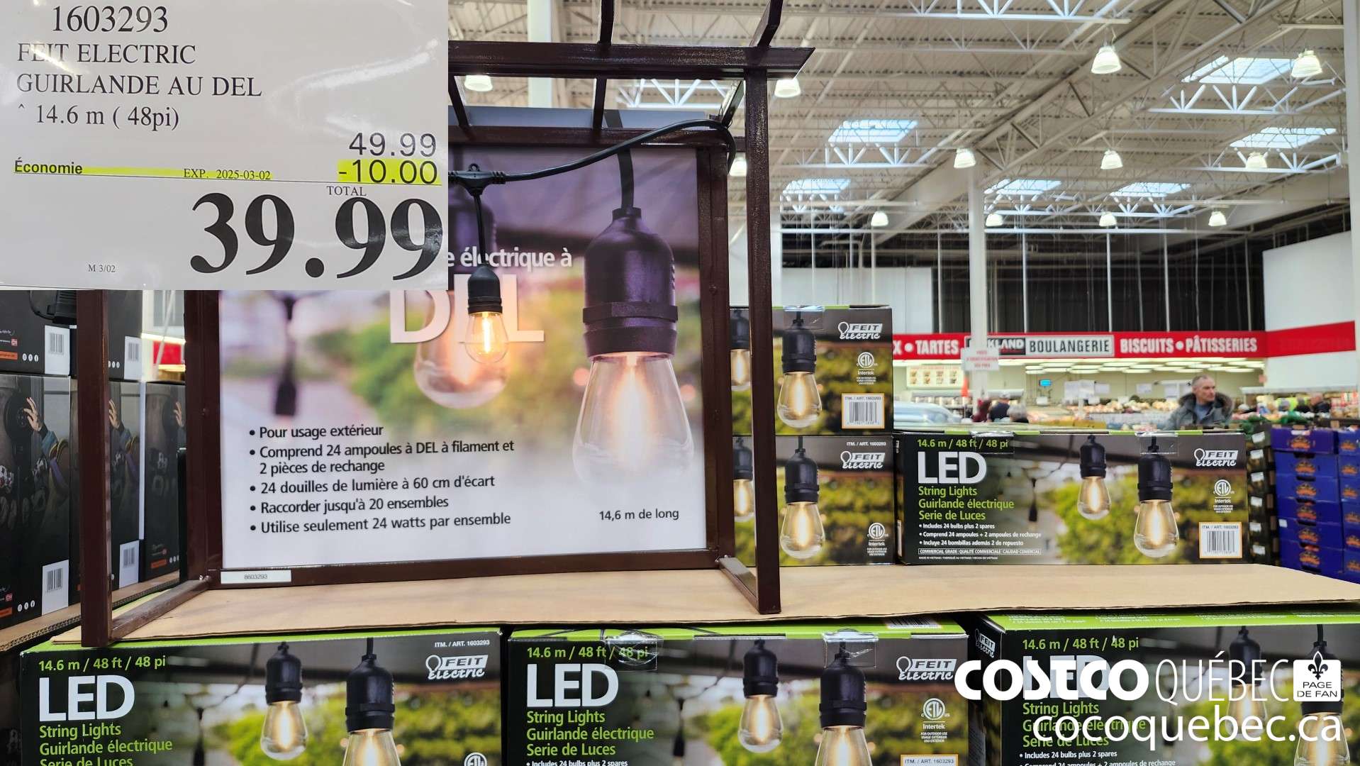 1603293 FEIT ELECTRIC GUIRLANDE AU DEL ~ 14.6 m ( 48pi)  ($10.00 INSTANT SAVINGS EXPIRES ON 2025-03-02) $39.99