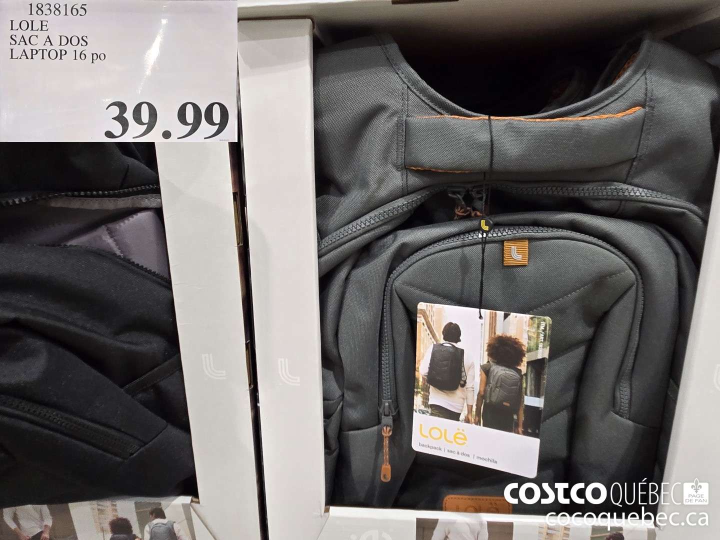 1838165 LOLE SAC A DOS LAPTOP 16 po  $39.99