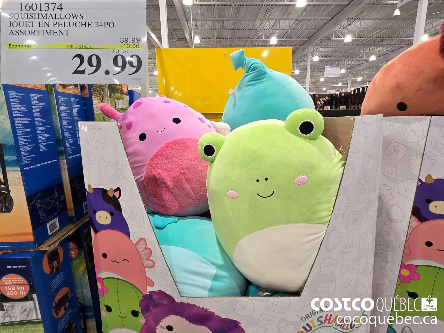1601374 SQUISHMALLOWS JOUET EN PELUCHE 24PO ASSORTIMENT  ($10.00 INSTANT SAVINGS EXPIRES ON 2025-02-09) $29.99
