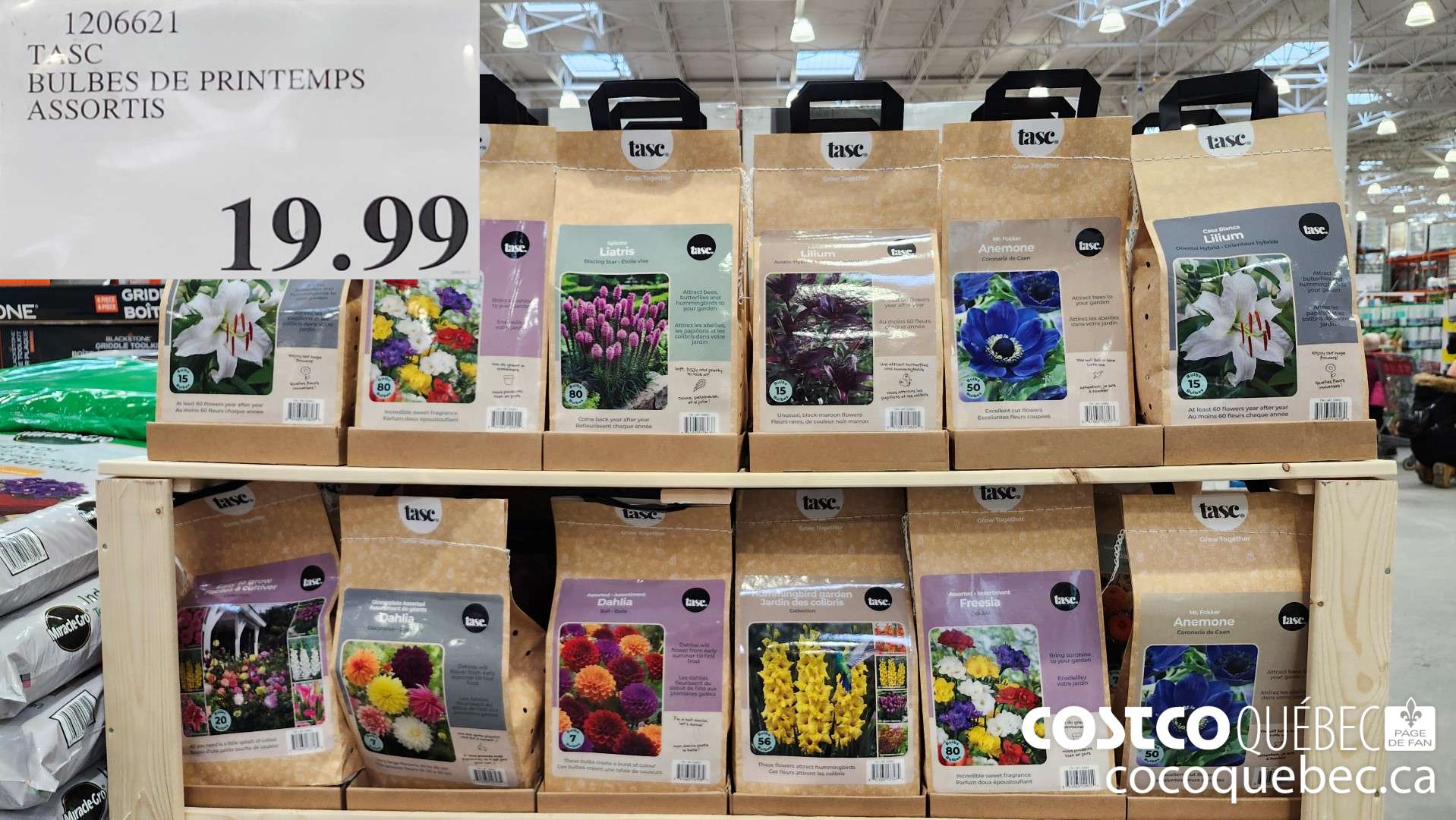 1206621 TASC BULBES DE PRINTEMPS ASSORTIS  $19.99