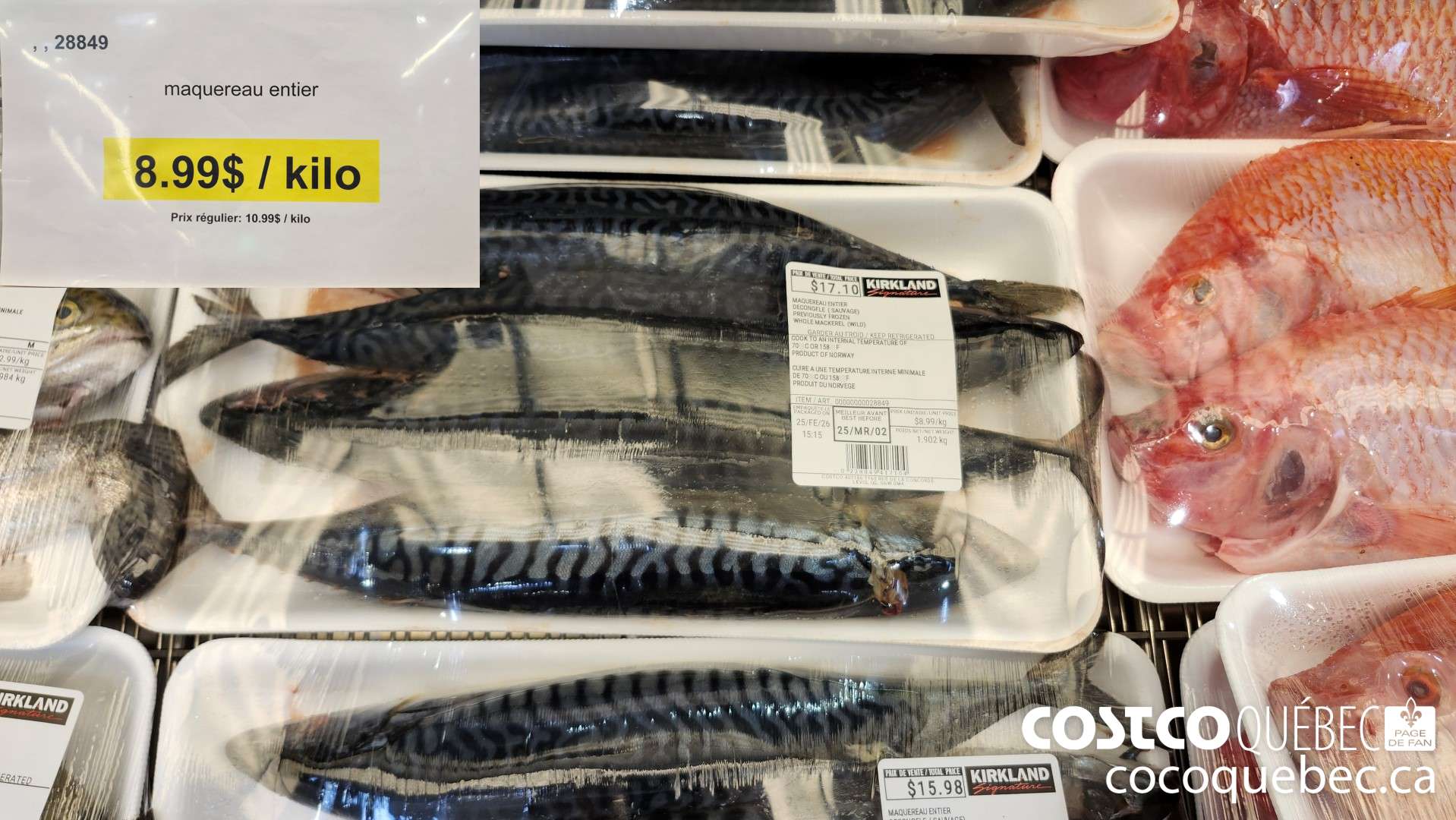 28849 maquereau entier  $8.99