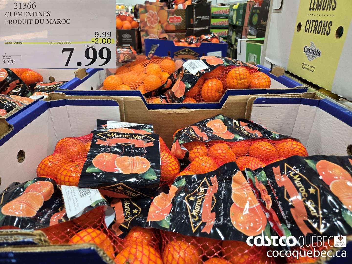 21366 CLEMENTINES PRODUIT DU MAROC  ($2.00 INSTANT SAVINGS EXPIRES ON 2025-03-09) $7.99