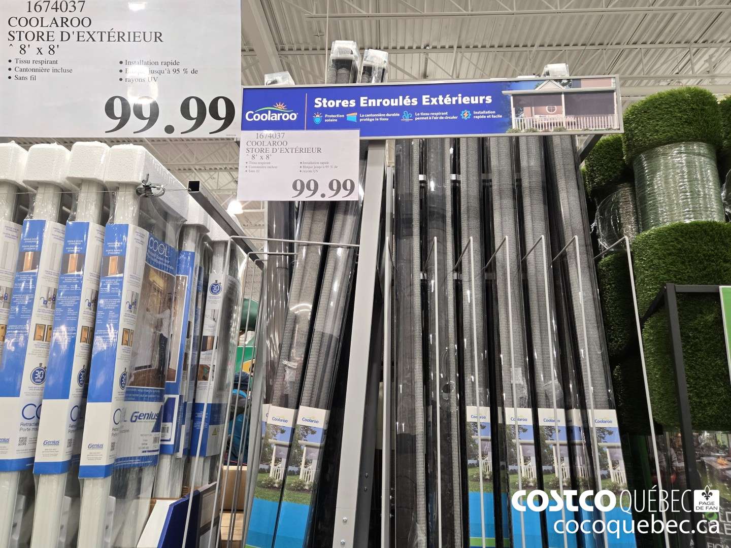 1674037 COOLAROO STORE D'EXTERIEUR  $99.99