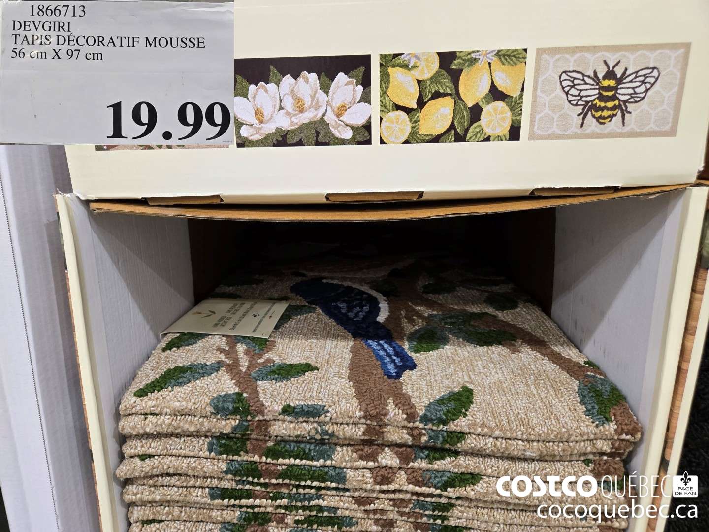 1866713 DEVGIRI TAPIS DECORATIF MOUSSE 56 cm X 97 cm  $19.99