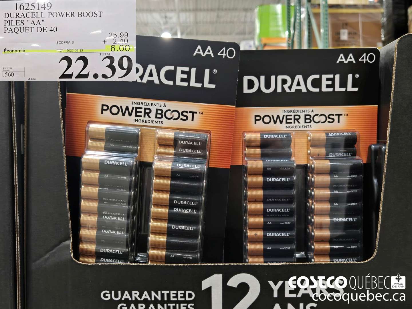 1625149 DURACELL POWER BOOST PILES 