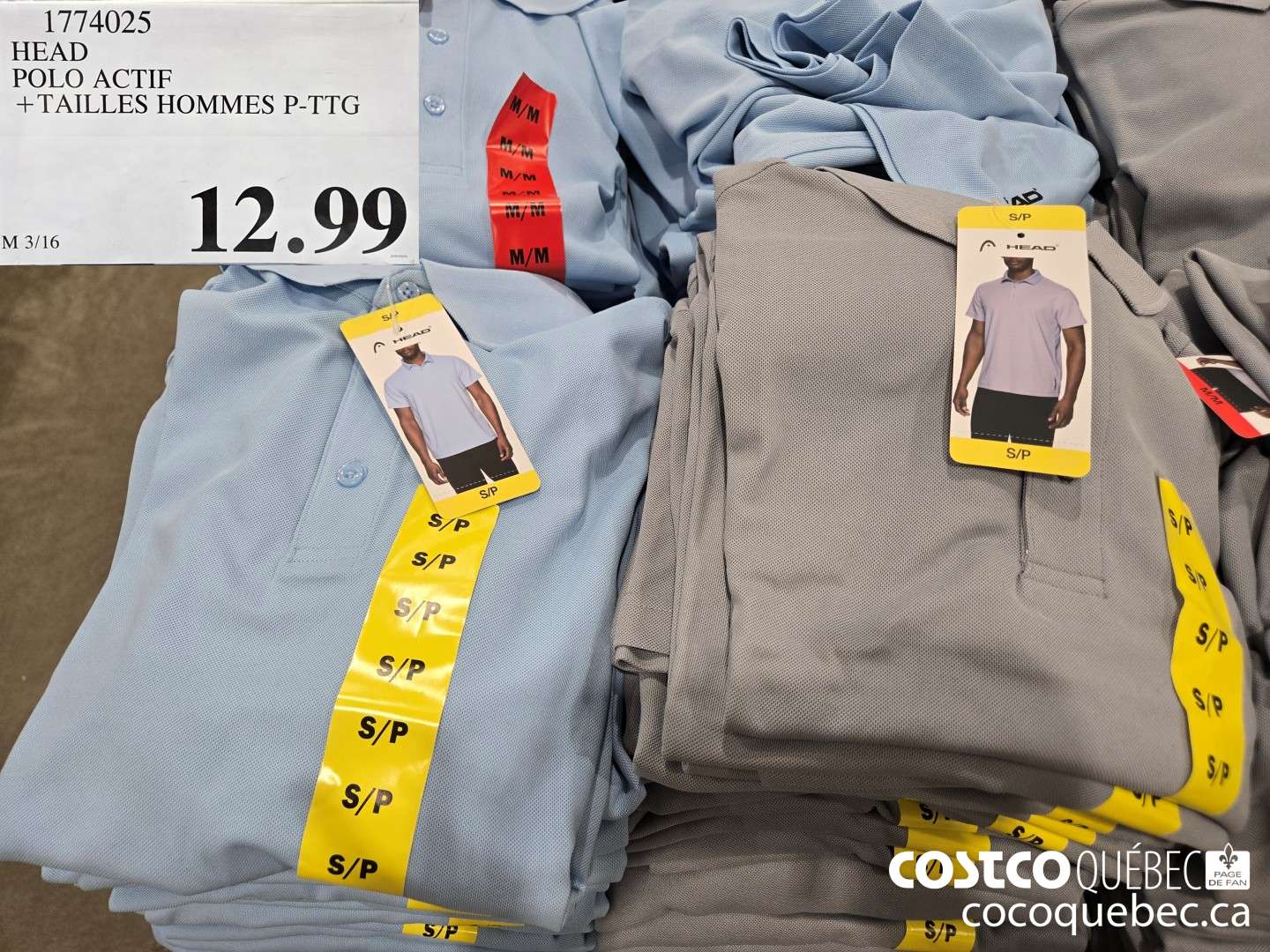 1774025 HEAD POLO ACTIF + TAILLES HOMMES P-TTG  $12.99