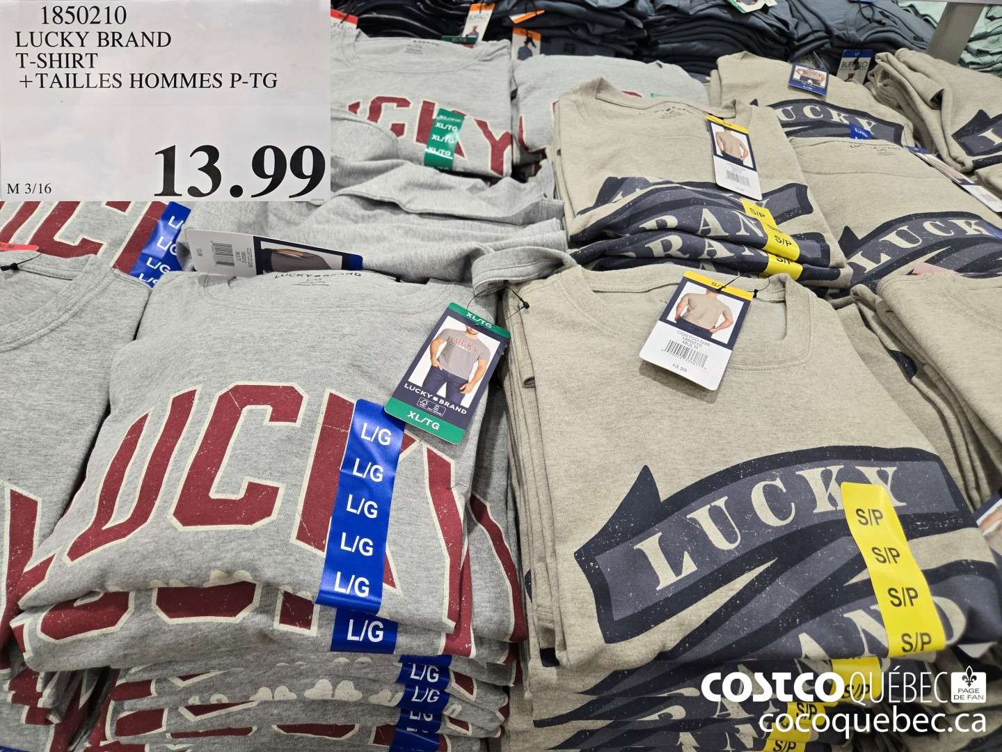 1850210 LUCKY BRAND T-SHIRT +TAILLES HOMMES P-TG  $13.99