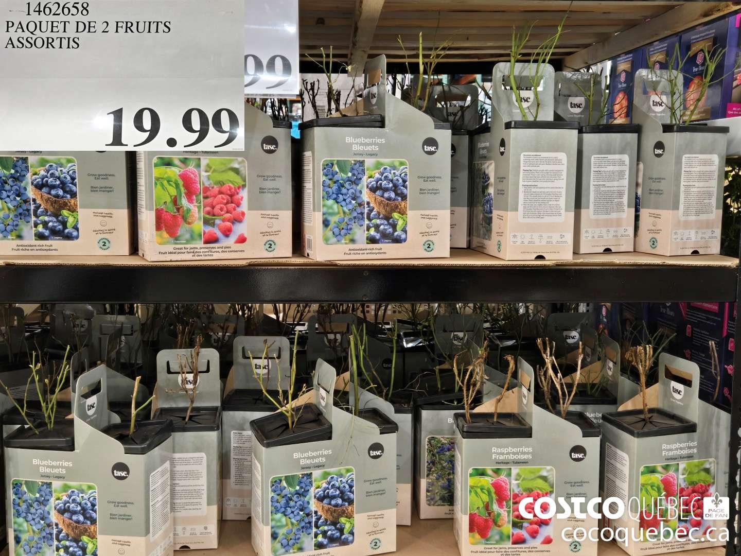 1462658 PAQUET DE 2 FRUITS ASSORTIS  $19.99