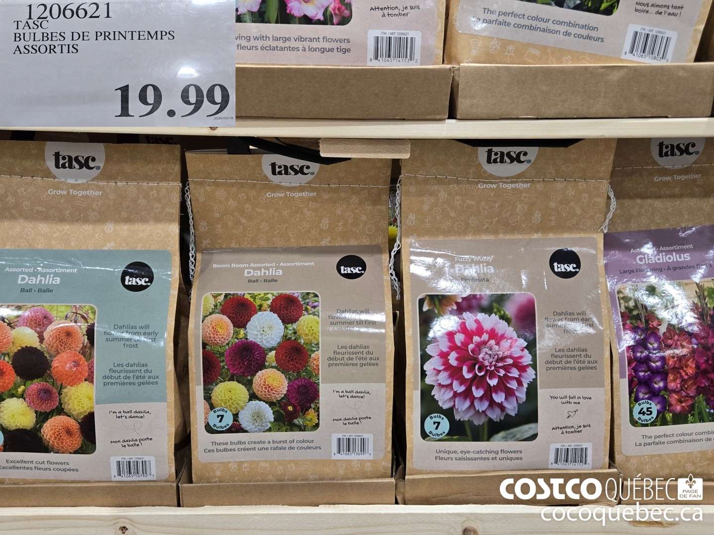 1206621 TASC BULBES DE PRINTEMPS ASSORTIS  $19.99