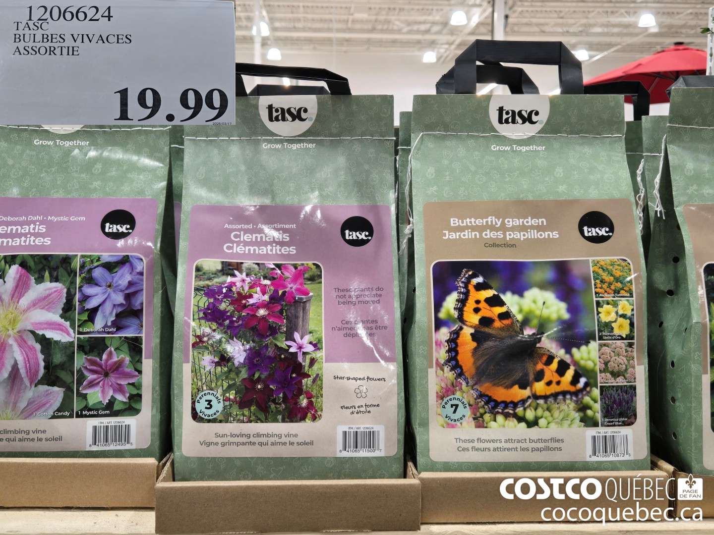 1206624 TASC BULBES VIVACES ASSORTIE  $19.99