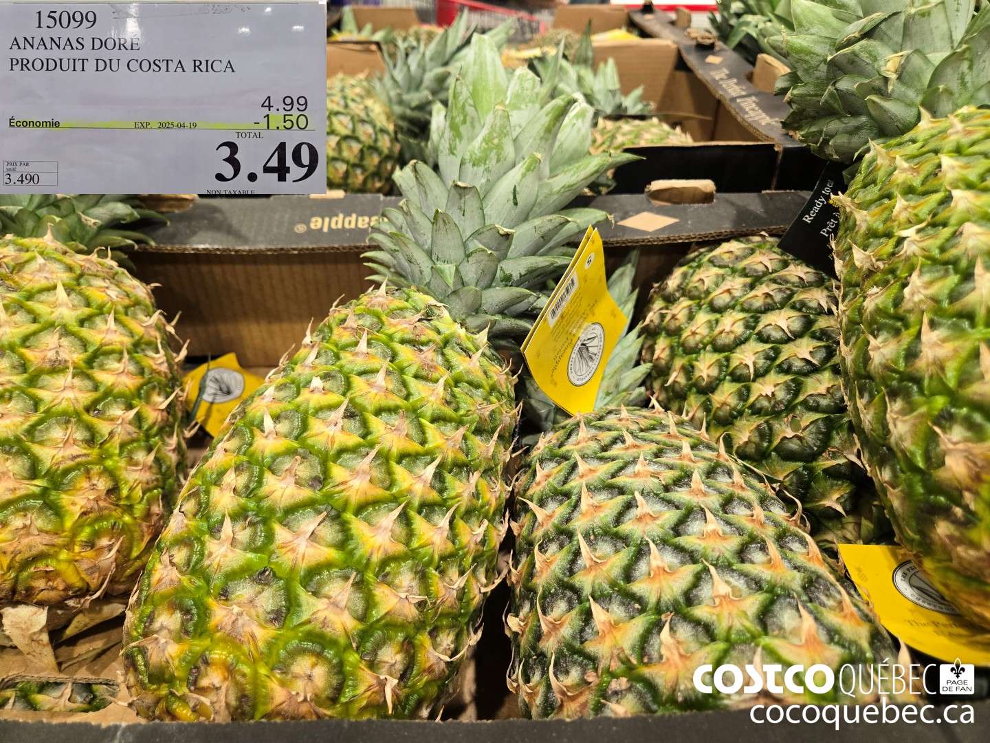 15099 ANANAS DORE PRODUIT DU COSTA RICA $1.00OFF ($1.50 INSTANT SAVINGS EXPIRES ON 2025-04-19) $3.49