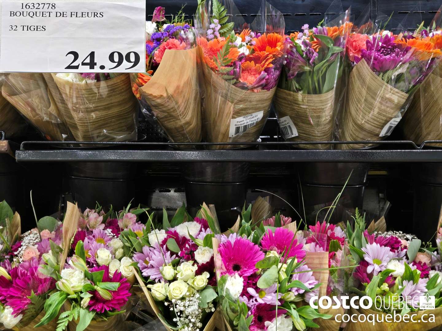 1632778 BOUQUET DE FLEURS 32 TIGES  $24.99
